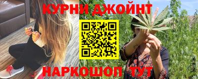 дмт Шелехов