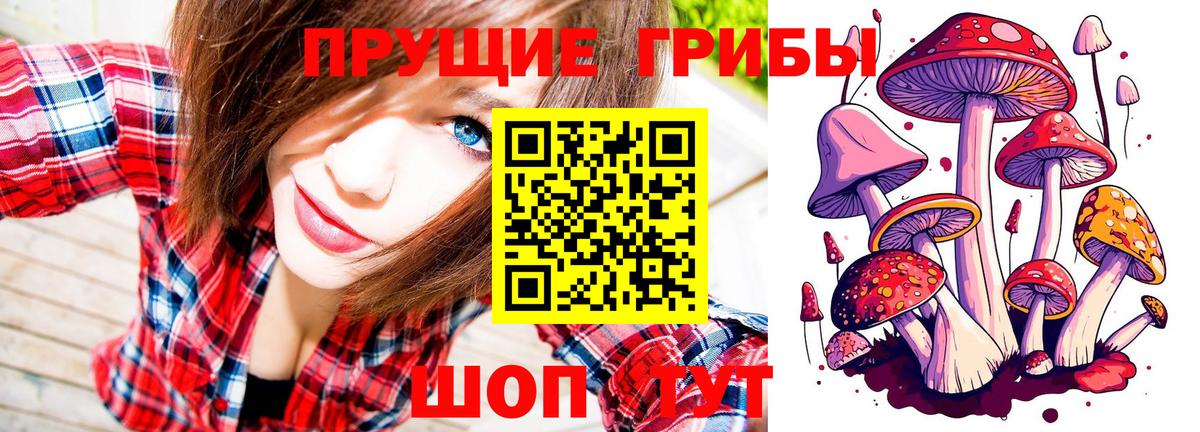 Псилоцибиновые грибы Psilocybe Заречный
