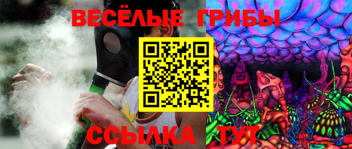 Псилоцибиновые грибы MAGIC MUSHROOMS  Вход с VPN  Заречный 