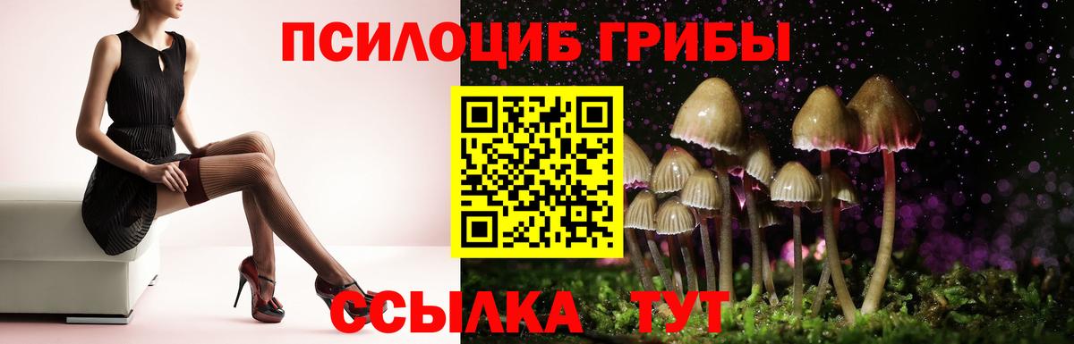 Галлюциногенные грибы MAGIC MUSHROOMS  Заречный 